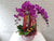 Prosperity  Phalaenopsis CNY Flower - CNY334