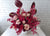<b> PRE-ORDER </b> Cappuccino Rose Mother's Day - MD716