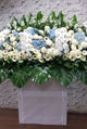 White Phalaenopsis, Blue Hydrangeas  Condolence Flower Flower Stand - SY249