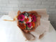 Gerbera & Carnation Hand Bouquet - HB013