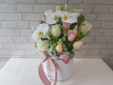 Pastel Phalaenopsis & Rose Box - BK183