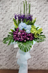 Anthurium Blessings Opening Stand Flower - OP100