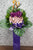 pure seed op092 +  Orchids, Gerberas + opening stand