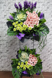pureseed sy168 + gerberas, brassica, ping pong, matthiolas + sympathy stand