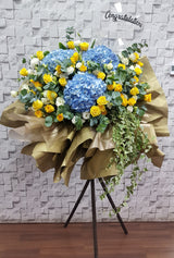 Blueish Gold Modern Opening Stand - OP215