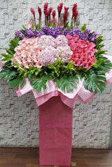 Blushing Triumph Opening Stand Flower - OP231