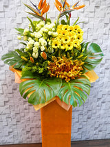 Congratulatory Opening Stand Flower - OP118