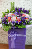 pure seed op137 + Gerberas, Eustomas, Hydrangeas and Matthiolas + opening stand