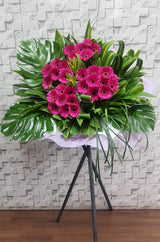 Gerbera Lover Opening Wood Stand - OP199
