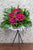 pure seed op199 + colorful Gerberas  + opening stand