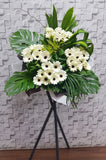 Graceful Gerbera Condolences Flower Stand - SY133