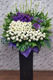 pureseed sy135 + Brassicas, Gerberas, Ping Pong Flower, Orchids and Tuberoses. + sympathy stand