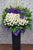 pureseed sy135 + Brassicas, Gerberas, Ping Pong Flower, Orchids and Tuberoses. + sympathy stand