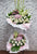 pureseed sy197 +  Hydrangeas, Gerberas, Eustomas, Orchids, and Tuberose + sympathy stand