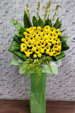 pureseed sy161 + Gerberas, Orchids, Ping Pong and Tuberoses + sympathy stand