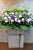 pureseed sy120 +  Matthiolas, Eustomas, Brassica Flower and Chrysanthemum. + sympathy stand