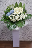 pureseed sy079 + Hydrangeas, Gerberas and Chrysanthemums  + sympathy stand