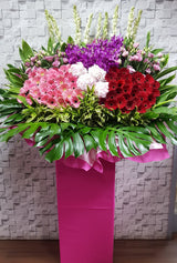 Outstanding Success Opening Stand Flower - OP211
