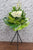 pureseed sy134 + Tuberoses and Gerberas + sympathy stand