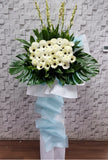 pureseed sy195 +  Gerberas, Chrysanthemum, and Tuberose + sympathy stand