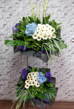 pureseed sy185 + Hydrangeas, Gerberas and Tuberose + sympathy stand