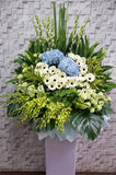 pureseed sy141 +  Hydrangeas, Gerberas, Eustomas, Orchids and Tuberoses. + sympathy stand