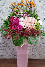 Prestige Opening Stand Flower - OP195