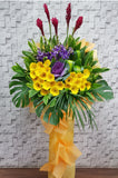 Prestigious Opening Stand Flower - OP205