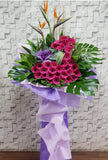 pureseed op218 + Gerberas, Brassica and Bird of Paradise + opening stand