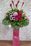 pureseed op228+ Hydrangeas, Gerberas, Ping Pong and Ginger Flower + opening stand