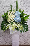 pureseed sy176 + Gerberas and Hydrangeas, orchids + sy176