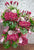 pure seed op207 + Hydrangeas, Gerberas, Eustomas, Orchids, Ginger Flower and Leaves + opening stand