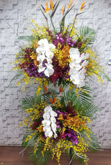 Tropical Opening Stand Flower - OP216