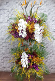 pureseed op216 +  Mokara Orchids, Dancing Lady Orchids,  Phalaenopsis Orchids and Bird of Paradise + opening stand