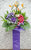 pure seed op148 + ustomas, Brassica Flower, Lilies, Tuberoses and Gerberas + opening stand
