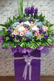 pure seed op176 + Gerberas, Eustomas, Hydrangeas, Matthiolas + opening stand