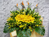 Abundant Wealth Opening Stand Flower - OP099