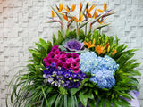 Bold Grand Opening Stand Flower - OP139