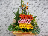 Cheerful Opening Stand Flower - OP086