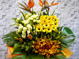 Congratulatory Opening Stand Flower - OP118