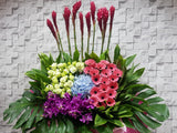 Fascinating Mix Opening Stand Flower - OP188