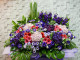 Fearless Grand Opening Flower - OP137