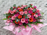 Gerbera Garden Opening Stand Flower - OP219