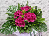 Gerbera Lover Opening Wood Stand - OP199