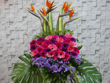 Gratifying Opening Stand Flower - OP131