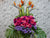 Gratifying Opening Stand Flower - OP131