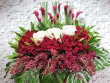 pure seed op213 + Hydrangeas, Roses, Lilies, Orchids, Ginger Flower and Leaves + opening stand