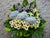Harmony Condolences Flower Stand - SY102