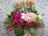 Prestige Opening Stand Flower - OP195