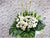 Purity Condolences Flower Stand - SY208